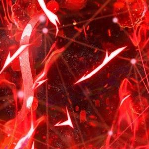 Meet your Posher, Brendo